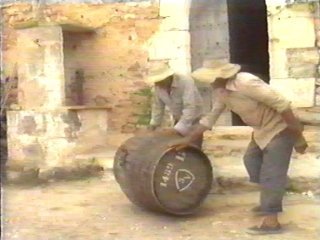 CAMPO - (11)  LABRANZA